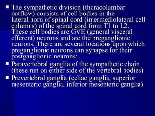  The sympathetic division (thoracolumbarThe sympathetic division (thoracolumbar
outflow) consists of cell bodies in theoutflow) consists of cell bodies in the
lateral horn of spinal cordlateral horn of spinal cord (intermediolateral cell(intermediolateral cell
columns) of the spinal cord from T1 to L2.columns) of the spinal cord from T1 to L2.
These cell bodies are GVE (general visceralThese cell bodies are GVE (general visceral
efferent) neurons and are the preganglionicefferent) neurons and are the preganglionic
neurons. There are several locations upon whichneurons. There are several locations upon which
preganglionic neurons can synapse for theirpreganglionic neurons can synapse for their
postganglionic neurons:postganglionic neurons:
 Paravertebral gangliaParavertebral ganglia of the sympathetic chainof the sympathetic chain
(these run on either side of the vertebral bodies)(these run on either side of the vertebral bodies)
 Prevertebral gangliaPrevertebral ganglia (celiac ganglia, superior(celiac ganglia, superior
mesenteric ganglia, inferior mesenteric ganglia)mesenteric ganglia, inferior mesenteric ganglia)
 