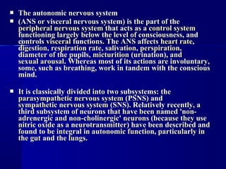  The autonomic nervous systemThe autonomic nervous system
 (ANS or visceral nervous system) is the part of the(ANS or visceral nervous system) is the part of the
peripheral nervous systemperipheral nervous system that acts as athat acts as a control systemcontrol system
functioning largely below the level of consciousness, andfunctioning largely below the level of consciousness, and
controlscontrols visceralvisceral functions. The ANS affectsfunctions. The ANS affects heart rateheart rate,,
digestiondigestion,, respiration raterespiration rate,, salivationsalivation,, perspirationperspiration,,
diameter of the pupils,diameter of the pupils, micturitionmicturition (urination), and(urination), and
sexual arousalsexual arousal. Whereas most of its actions are involuntary,. Whereas most of its actions are involuntary,
some, such as breathing, work in tandem with the conscioussome, such as breathing, work in tandem with the conscious
mind.mind.
 It is classically divided into two subsystems: theIt is classically divided into two subsystems: the
parasympathetic nervous systemparasympathetic nervous system (PSNS) and(PSNS) and
sympathetic nervous systemsympathetic nervous system (SNS). Relatively recently, a(SNS). Relatively recently, a
third subsystem of neurons that have been named 'non-third subsystem of neurons that have been named 'non-
adrenergic and non-cholinergic' neurons (because they useadrenergic and non-cholinergic' neurons (because they use
nitric oxide as a neurotransmitter) have been described andnitric oxide as a neurotransmitter) have been described and
found to be integral in autonomic function, particularly infound to be integral in autonomic function, particularly in
the gut and the lungs.the gut and the lungs.
 