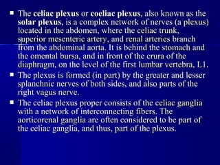 TheThe celiac plexusceliac plexus oror coeliac plexuscoeliac plexus, also known as the, also known as the
solar plexussolar plexus, is a complex network of nerves (a, is a complex network of nerves (a plexusplexus))
located in the abdomen, where thelocated in the abdomen, where the celiac trunkceliac trunk,,
superior mesenteric arterysuperior mesenteric artery, and, and renal arteriesrenal arteries branchbranch
from thefrom the abdominal aortaabdominal aorta. It is behind the. It is behind the stomachstomach andand
thethe omental bursaomental bursa, and in front of the, and in front of the cruracrura of theof the
diaphragmdiaphragm, on the level of the first, on the level of the first lumbar vertebralumbar vertebra, L1., L1.
 The plexus is formed (in part) by the greater and lesserThe plexus is formed (in part) by the greater and lesser
splanchnic nervessplanchnic nerves of both sides, and also parts of theof both sides, and also parts of the
rightright vagus nervevagus nerve..
 The celiac plexus proper consists of theThe celiac plexus proper consists of the celiac gangliaceliac ganglia
with a network of interconnecting fibers. Thewith a network of interconnecting fibers. The
aorticorenal gangliaaorticorenal ganglia are often considered to be part ofare often considered to be part of
the celiac ganglia, and thus, part of the plexus.the celiac ganglia, and thus, part of the plexus.
 