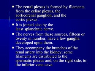  TheThe renal plexusrenal plexus is formed by filamentsis formed by filaments
from thefrom the celiac plexusceliac plexus, the, the
aorticorenal ganglionaorticorenal ganglion, and the, and the
aortic plexusaortic plexus ..
 It is joined also by theIt is joined also by the
least splanchnic nerveleast splanchnic nerve..
 The nerves from these sources, fifteen orThe nerves from these sources, fifteen or
twenty in number, have a fewtwenty in number, have a few gangliaganglia
developed upon them.developed upon them.
 They accompany the branches of theThey accompany the branches of the
renal arteryrenal artery into theinto the kidneykidney; some; some
filaments are distributed to thefilaments are distributed to the
spermatic plexusspermatic plexus and, on the right side, toand, on the right side, to
thethe inferior vena cavainferior vena cava..
 
