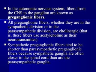  In theIn the autonomic nervous systemautonomic nervous system, fibers from, fibers from
thethe CNSCNS to theto the ganglionganglion are known asare known as
preganglionic fiberspreganglionic fibers..
 All preganglionic fibers, whether they are in theAll preganglionic fibers, whether they are in the
sympathetic divisionsympathetic division or in theor in the
parasympathetic divisionparasympathetic division, are, are cholinergiccholinergic (that(that
is, these fibers useis, these fibers use acetylcholineacetylcholine as theiras their
neurotransmitterneurotransmitter).).
 Sympathetic preganglionic fibers tend to beSympathetic preganglionic fibers tend to be
shorter than parasympathetic preganglionicshorter than parasympathetic preganglionic
fibers because sympathetic ganglia are oftenfibers because sympathetic ganglia are often
closer to the spinal cord than are thecloser to the spinal cord than are the
parasympathetic ganglia.parasympathetic ganglia.
 