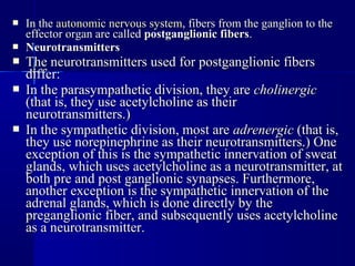  In theIn the autonomic nervous systemautonomic nervous system, fibers from the ganglion to the, fibers from the ganglion to the
effector organ are calledeffector organ are called postganglionic fiberspostganglionic fibers..
 NeurotransmittersNeurotransmitters
 The neurotransmitters used for postganglionic fibersThe neurotransmitters used for postganglionic fibers
differ:differ:
 In the parasympathetic division, they areIn the parasympathetic division, they are cholinergiccholinergic
(that is, they use acetylcholine as their(that is, they use acetylcholine as their
neurotransmitters.)neurotransmitters.)
 In the sympathetic division, most areIn the sympathetic division, most are adrenergicadrenergic (that is,(that is,
they use norepinephrine as their neurotransmitters.) Onethey use norepinephrine as their neurotransmitters.) One
exception of this is the sympathetic innervation of sweatexception of this is the sympathetic innervation of sweat
glands, which uses acetylcholine as a neurotransmitter, atglands, which uses acetylcholine as a neurotransmitter, at
both pre and post ganglionic synapses. Furthermore,both pre and post ganglionic synapses. Furthermore,
another exception is the sympathetic innervation of theanother exception is the sympathetic innervation of the
adrenal glands, which is done directly by theadrenal glands, which is done directly by the
preganglionic fiber, and subsequently uses acetylcholinepreganglionic fiber, and subsequently uses acetylcholine
as a neurotransmitter.as a neurotransmitter.
 