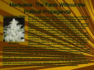 Marijuana: The Facts Without the Political Propaganda Confronting the Myths: First, it is imperative to clarify some of the common myths about the effects of marijuana. The one that even regular marijuana smokers are susceptible to is the tendency to think that marijuana is not physically addictive. Simply defined, physical addiction means that the user does not feel like him or her self without the drug; in essence, the body needs the drug to feel whole. This type of addictiveness in a drug is much more dangerous than a psychologically addictive drug, which users become dependent on because they like the &quot;world&quot; they are in during their psychedelic trip or other euphoric state of mind. But not to worry. Unlike cocaine, heroin, and nicotine, marijuana is still not very addictive. What makes the other aforementioned drugs so addictive is that they all operate via the &quot;dopamine White Widow reward system.&quot; For example, when you snort cocaine, nerve  cells in the brain release dopamine (a chemical released when you are engaged in something pleasurable—i.e., sex). In the synaptic cleft, dopamine is prevented by cocaine from being reabsorbed through the dopamine re-uptake transporter. This is what creates the high of pure pleasure—the prolonged time dopamine remains in the synaptic cleft gives its user a false sense of happiness. The brain in time, however, compensates by rapidly reabsorbing dopamine. This is what lures the user to come back for more and more. The abrupt comedown from the drug gets even harsher with frequent use. Marijuana, luckily, does not involve this nasty process. In fact, only about 9% of regular users become addicted to marijuana.  