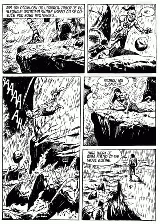 0773. OČAJNIČKI KRIK