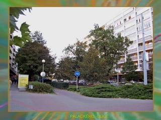 PALACKÉHO ULICE
 