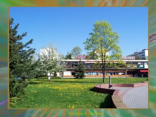 Polabiny II - centrum
 