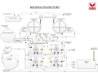 BIOLOGICAL EFFLUENT PLANT
SLUDGE
TO
RECYCLE
SLUDGE
TO
RECYCLE
 