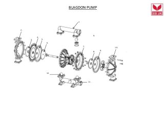 BLAGDON PUMP
1
2.
3.
4.
5.
9.
7.
6.
8. 9.
10.
11.
12.
 