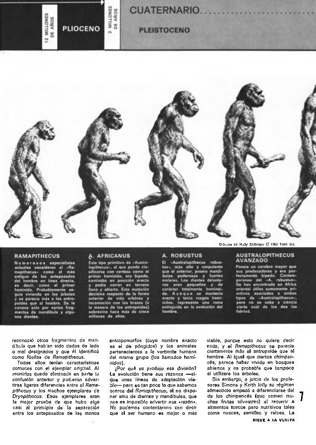 origen y evolucion del hombre