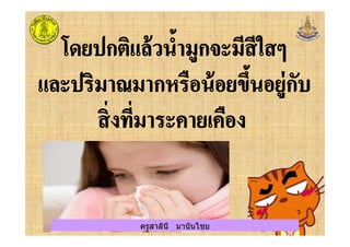 ครูสาลินี มานันไชยครูสาลินี มานันไชย
 