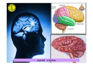 ครูสาลินี มานันไชยครูสาลินี มานันไชย
 