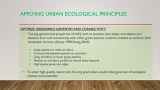 Image showcasing Greening the Future: How Singapore Turned Urban Planning Into a Climate ...