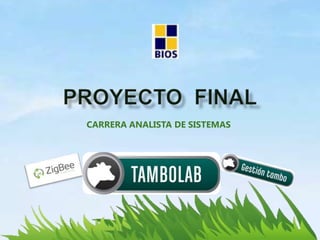 Proyecto  final CARRERA ANALISTA DE SISTEMAS 