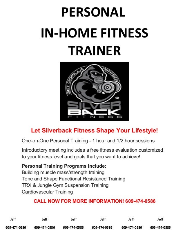 pt silverback flyer 2 trx training flyers