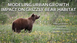 MODELING URBAN GROWTH
IMPACT ON GRIZZLY BEAR HABITAT
Morgan Baker
Olivia Ma
Marilyn Romao
JacquelineTourand
 