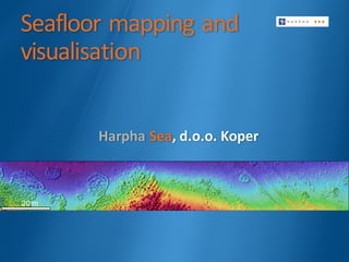 Seafloor	mapping	and	
visualisation
Harpha Sea,	d.o.o.	Koper
 