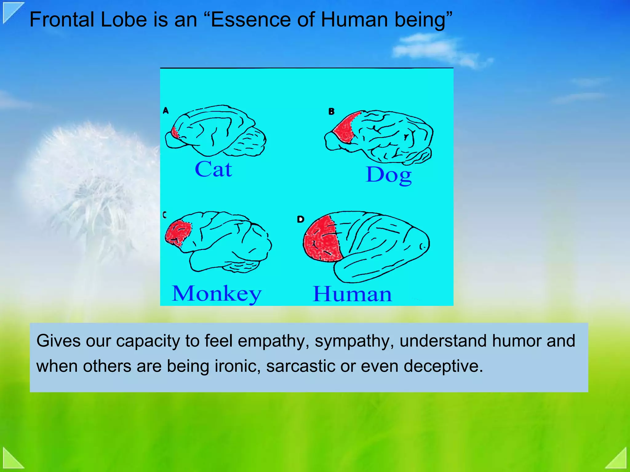 Frontal Lobe is an “Essence of Human being”




Gives our capacity to feel empathy, sympathy, understand humor and
when others are being ironic, sarcastic or even deceptive.
 