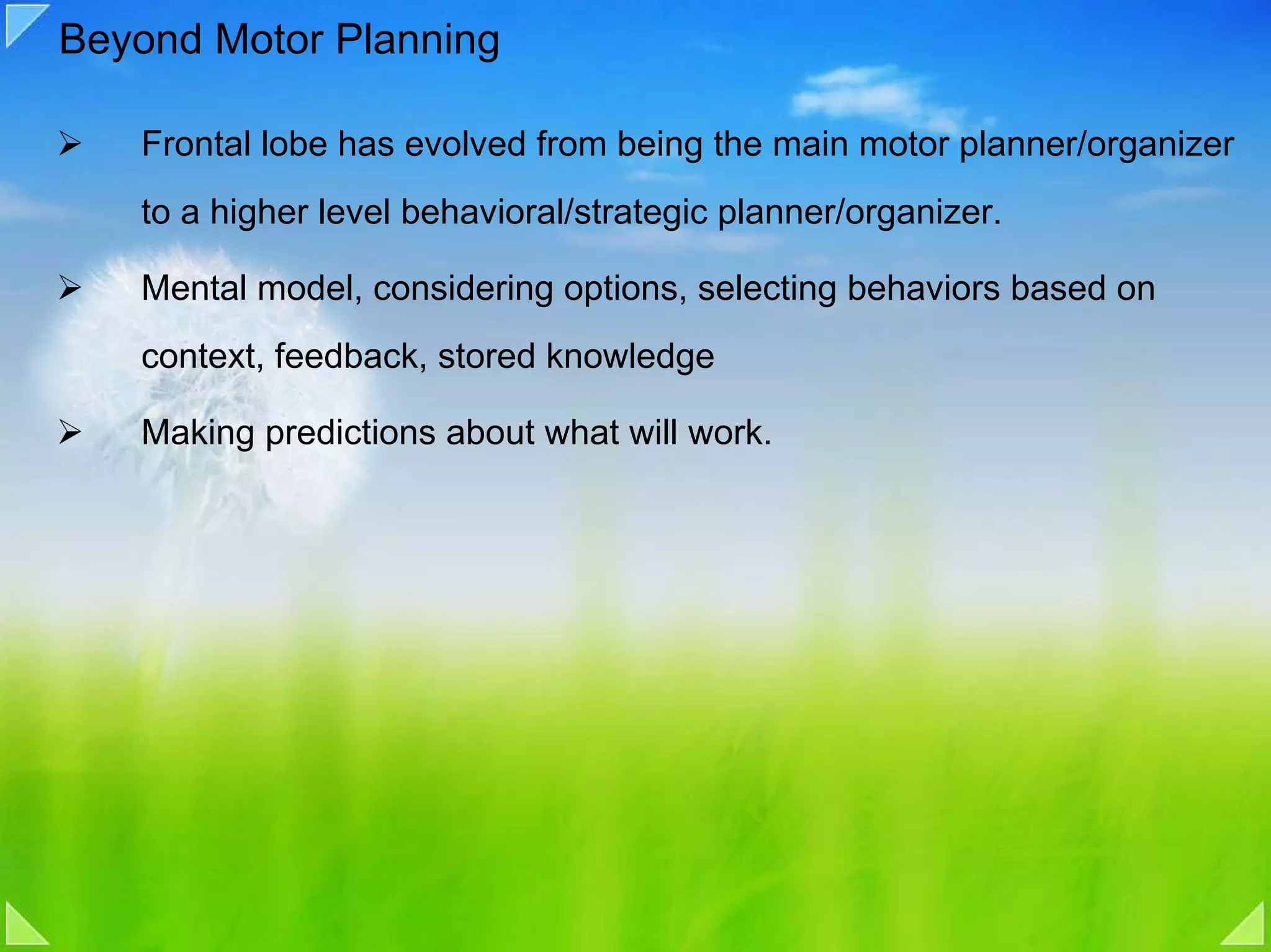 Beyond Motor Planning

   Frontal lobe has evolved from being the main motor planner/organizer
   to a higher level behavioral/strategic planner/organizer.

   Mental model, considering options, selecting behaviors based on
   context, feedback, stored knowledge

   Making predictions about what will work.
 