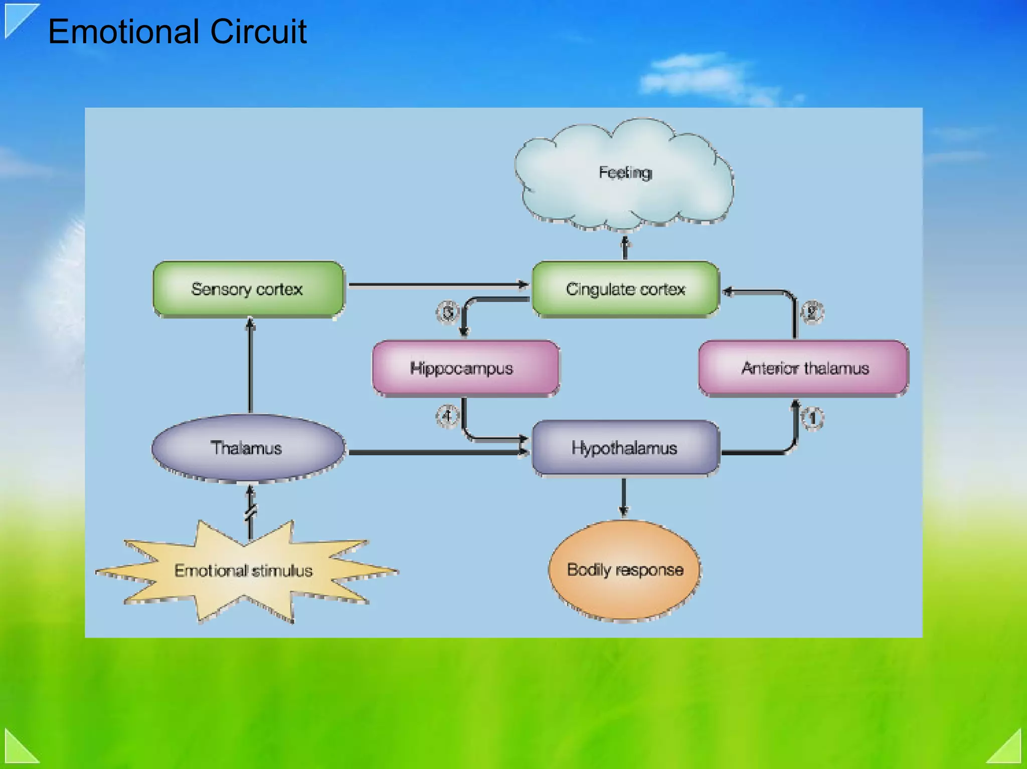 Emotional Circuit
 