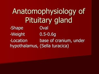 •Shape Oval
•Weight 0.5-0.6g
•Location base of cranium, under
hypothalamus, (Sella turacica)
Anatomophysiology of
Pituitary gland
 