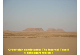 Ordovician sandstones: The internal Tassili
           « Tahaggart region »
 