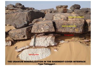 Ordovician sandstone




                                        Basal conglomerate




                                          Ferrugination




               Altered gneiss



THE URANIUM MINERALIZATION IN THE BASEMENT-COVER INTERFACE
                     - Type Tahaggart -
 