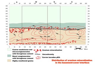 Distribution of uranium mineralization
   in the basement-cover interface
 