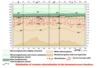Distribution of uranium mineralization in the basement-cover interface
 