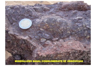 MINERALIZED BASAL CONGLOMERATE OF ORDOVICIAN
 