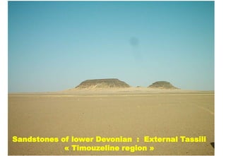 Sandstones of lower Devonian : External Tassili
            « Timouzeline region »
 