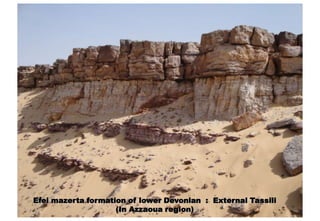 Efei mazerta formation of lower Devonian : External Tassili
                    (In Azzaoua region)
 
