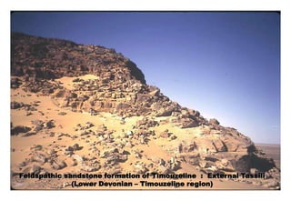 Feldspathic sandstone formation of Timouzeline : External Tassili
              (Lower Devonian – Timouzeline region)
 
