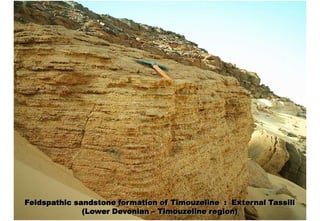 Feldspathic sandstone formation of Timouzeline : External Tassili
              (Lower Devonian – Timouzeline region)
 