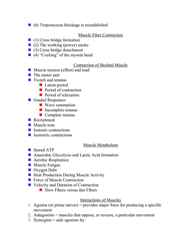 Anatomy And Physiology The Muscular System Pdf Anatomy And Physiology The Muscular System Pdf