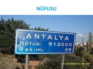 NÜFUSU
 
