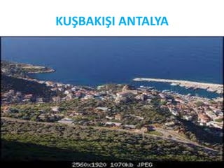 KUŞBAKIŞI ANTALYA
 