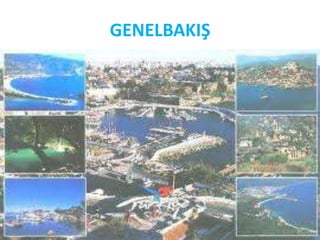 GENELBAKIŞ
 