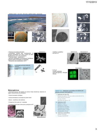 17/12/2013

Haloferax volcanii - mar morto – fácil cultivo - halofílico modelo – sequenciado

• Presença de grandes plasmídios
• Homeostase mantida pelo bombeamento de
grandes quantidades de K para o interior da célula,
equilibrando-se com o Na do ambiente
• Proteínas ácidas – requerendo K
• Menores quantidades de aminoácidos hidrofóbicos,
evitando perda de atividade por agregação
• Ribossomos são estabilizados com K

Halobacterium

• Halofílico e alcalifílico
• pH de 9 a 11

Natronomonas

Natronobacterium

Haloquadratum

Ion
Na
K

• 0,15 µm
• Células quadradas
• Vesículas gasosas – flutuação
• Móveis

Mg
Cl

Metanogênicos
• Sedimentos anóxicos, trato digestivo de animais, fendas hidrotermais, tratamento de
esgoto, endossimbiontes de protozoários.
• Grande diversidade morfológica
• Grande diversidade de composição de parede celular
• Maioria – mesofílicos e não-halofílicos
• Produção de CH4 a partir de 11 substratos
• Formação de força próton motiva para a produção de ATP

Methanosarcina

Methanobacterium

3

 