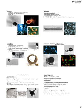 17/12/2013

• Pyrococcus
• Morfologia e metabolismo similares a Thermococcus
• Crescimento ideal 100°C (70°C a 106°C)
• 0,8 a 2 µm

Methanopyrus

Archaeoglobales
• Archaeoglobus
•Único hipertermofílico redutor de sulfato
• Isolado de fendas hidrotermais
• Crescimento ótimo a 83°C
• Produz biofilmes – corrozão em dutos de petróleo/óleo
• Ferroglobus
• Quimiolitotrófico, oxidante de Fe e redutor de nitrato
• Anaeróbio

Nanoarchaeota – apenas DNA – Euryarchaeota???

• Metanogênico e hipertermófilo
• Isolado de fendas de fontes hidrotermais
• Crescimento ótimo a 100°C (cresce até 122°C)
• Produz metano a partir de H2 + CO2
• Possui composto glicolítico (2,3-difosfoglicerato) no citoplasma – termoestabilidade
• Uma das formas mais primitivas de vida

Nanoarchaeum equitans

Ferroglobus

Archaeoglobus

Nanoarchaeum equitans
• Termófilos – 70°C a 98°C
•Crescimento ótimo a 90°C
• Isolados de fendas hidrotermais
• Um dos menores organismos celulares conhecidos, com um dos menores genomas
(~0,5 Mpb)
• Alta densidade genética (95%)
• Volume correspondente a 1% de E. coli
• Simbionte obrigatório de Ignicoccus (Crenarchaeota) – cerca de dez células
• Parasita??
• Provavelmente Euryarchaeota de vida livre – associação – perda de genes – mutação

Crenarchaeota
• Termofílicos e hipertermofílicos – > 80°C
• Maioria quimiorganotrófico ou quimiolitotróficos
• Maioria anaeróbio
• Formação de força próton-motiva a partir da respiração anaeróbia
• Mesófilos – ambientes aquáticos e terrestres – não cultivados
• Ambientes neutros a levemente ácidos
• Psicrofílicos
• Termófílicos – evolução lenta; Mesófilos – evolução rápida
• Maioria metaboliza enxofre
• Isolados de solos aquecidos e ricos em enxofre e fendas hidrotermais

5

 