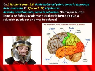 En 1 Tesalonicenses 5:8, Pablo habla del yelmo como la esperanza
de la salvación. En Efesios 6:17, el yelmo es
descrito, sencillamente, como la salvación. ¿Cómo puede este
cambio de énfasis ayudarnos a explicar la forma en que la
salvación puede ser un arma de defensa?
 
