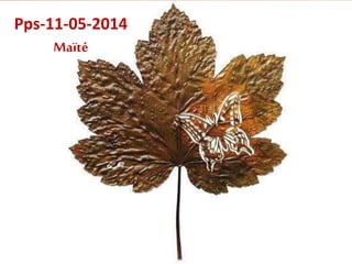 Pps-11-05-2014 
Maïté 
 