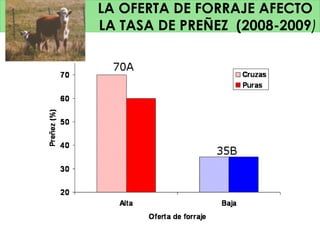 LA OFERTA DE FORRAJE AFECTO
LA TASA DE PREÑEZ (2008-2009)
 