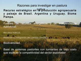Razones para investigar en pastura
nativaRecurso estratégico en la producción agropecuaria
y paisaje de Brasil. Argentina y Uruguay. Bioma
Pampa.
Fuentes de recursos energéticos y de independencia
nutricional.
Recursos hidricos.
Resilente y y mitigación del cambio climático
Biodiversidad.
Base de sistemas pastoriles con rumiantes de bajo costo
que explican la competitividad del sector exportador
.
 