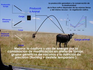 Carga
Carga animal
Producció
n Animal
Producción
forraje
=Eficiencia
cosecha
Ganancia
por animal
Carga
Carga
Mejorar la captura y uso de energia por la
combinación de modificación en oferta de forraje,
grupos genéticos de vacunos y la nutrición de
precisión (flushing + destete temporario ).
La producción ganadera y la conservación de
la biodiversidad
de la flora nativa dependen de las mismas tierras
y del mismo recurso – la vegetación nativa.
5
10
15
20
25
Otoño Invierno Primavera Verano
PPSkgMS/ha/día
2000
2001
2002
2003
2004
2005
2006
2007
 