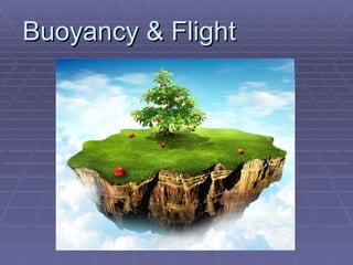 Buoyancy & Flight 