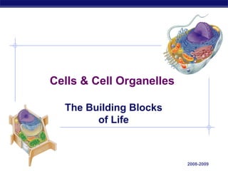 2008-2009 Cells & Cell Organelles The Building Blocks of Life 