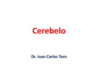 Cerebelo
Dr. Juan Carlos Toro
 