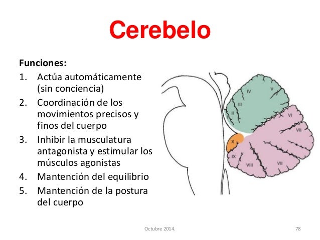 2nd and 3rd form of verb bite
