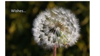 Wishes…