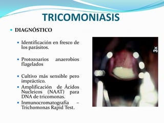 TRICOMONIASIS
 DIAGNÓSTICO

   Identificación en fresco de
    los parásitos.

   Protozoarios     anaerobios
    flagelados

   Cultivo más sensible pero
    impráctico.
   Amplificación de Ácidos
    Nucleicos (NAAT) para
    DNA de tricomonas.
   Inmunocromatografía     –
    Trichomonas Rapid Test.
 